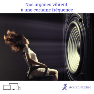 Vibration sonore, notre voix